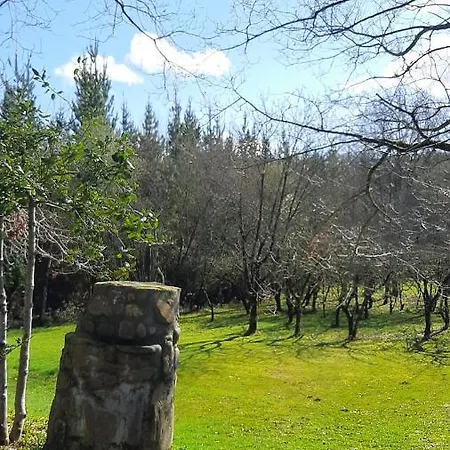 Usko X Vi0020 * Amurrio