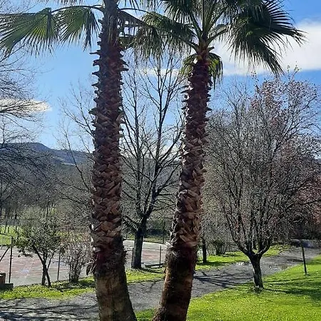 Usko X Vi0020 * Amurrio