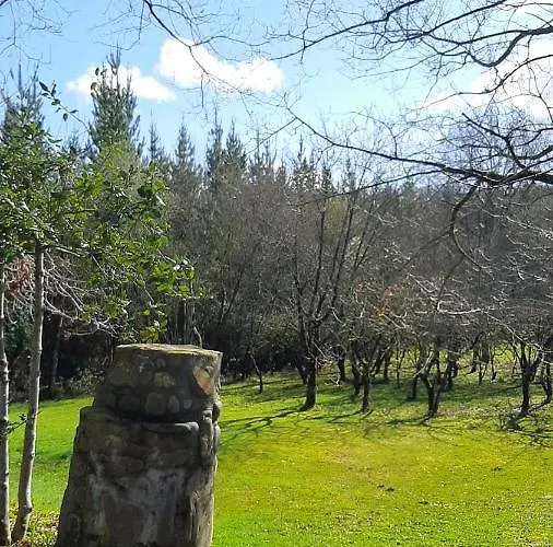 Usko X Vi0020 * Amurrio